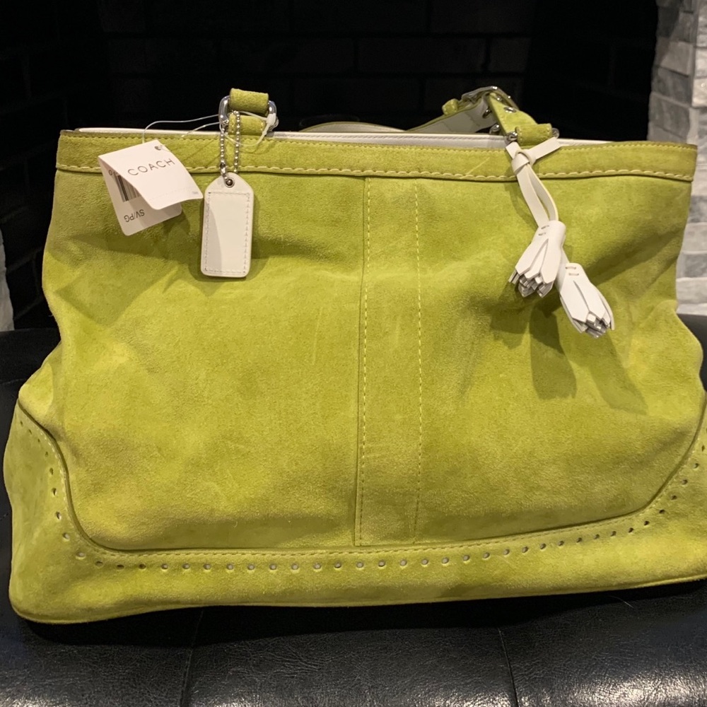 Coach suede light green shoulder bag.